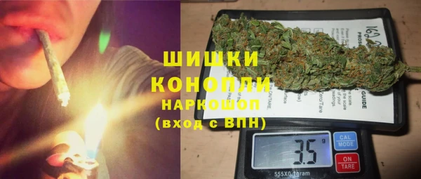 ПСИЛОЦИБИНОВЫЕ ГРИБЫ Осинники