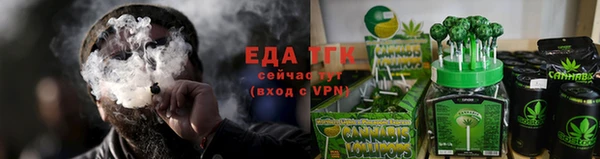 мдпв Осташков