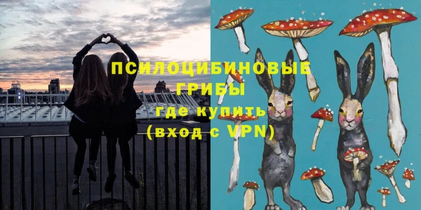 мдпв Осташков