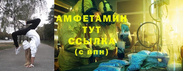 ПСИЛОЦИБИНОВЫЕ ГРИБЫ Осинники