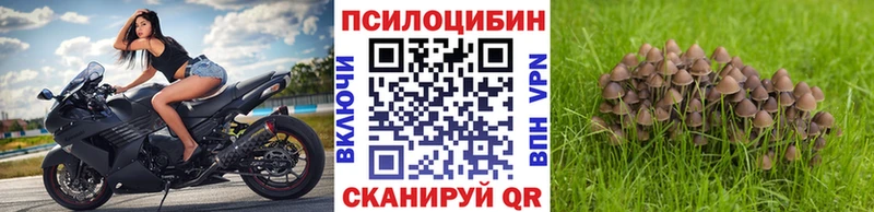 Псилоцибиновые грибы ЛСД  купить   Шарыпово 
