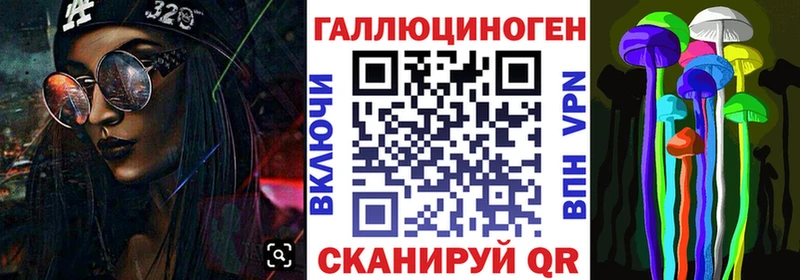 Псилоцибиновые грибы Psilocybe Шарыпово