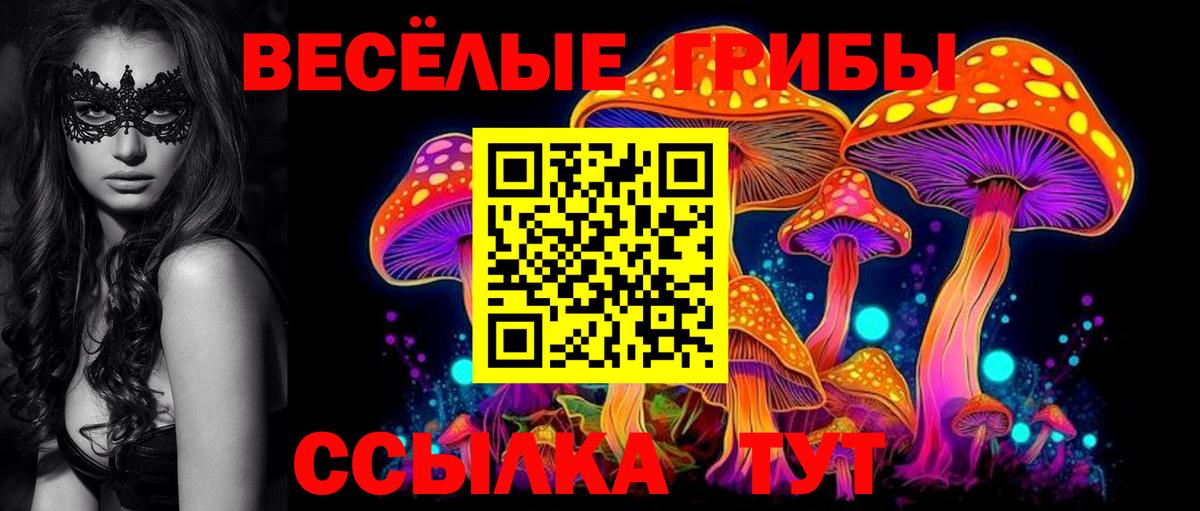 Галлюциногенные грибы Psilocybine cubensis  Псилоцибиновые грибы Psilocybe  Вход с VPN  Шарыпово 