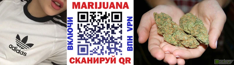 Бошки Шишки Amnesia  Шарыпово 