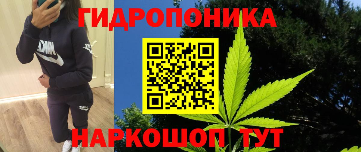 Бошки марихуана семена Шарыпово